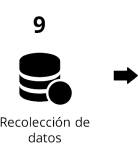 Pasos de un proyecto de investigación